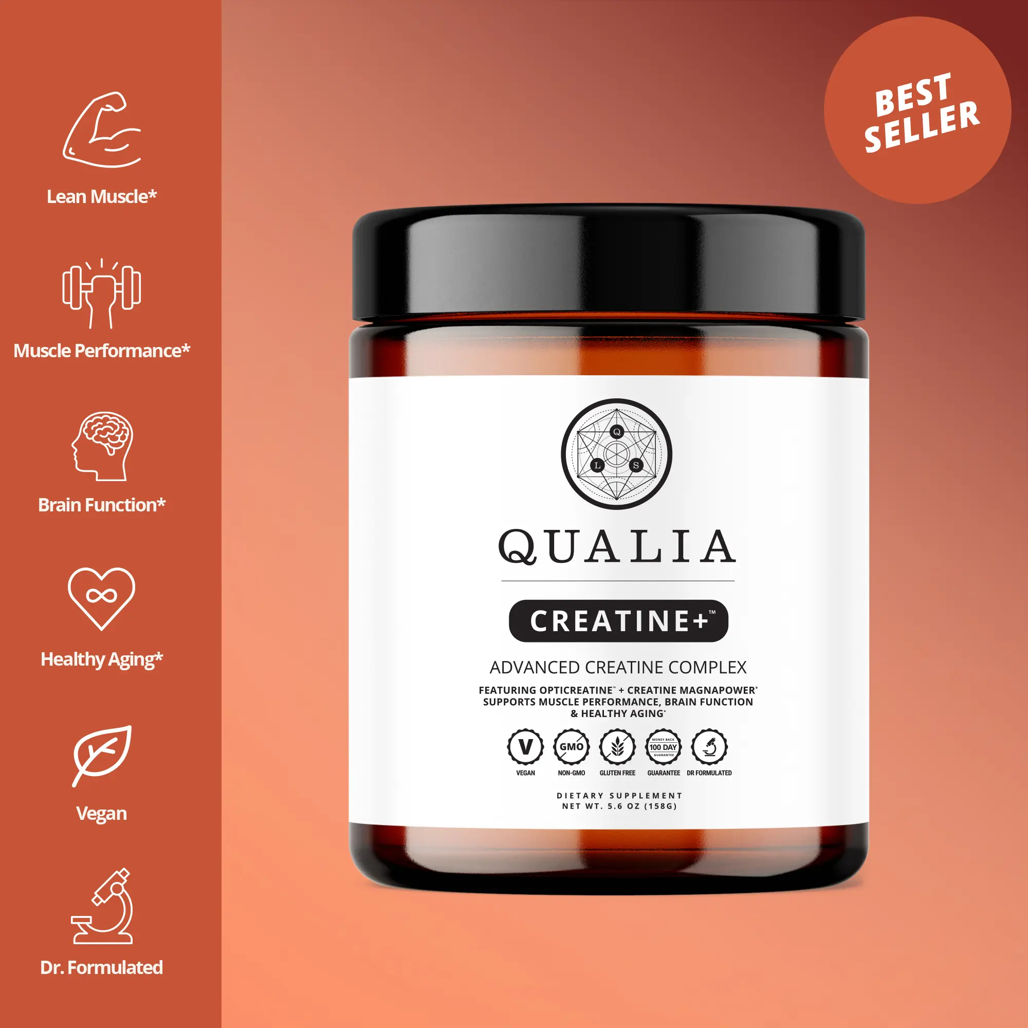 Qualia Creatine+ | 30-Day Supply | Advanced Creatine Complex | 2 Creatine Sources + Magnesium | Optimized Creatine Absorption | Muscle Performance, Brain Function & Healthy Aging