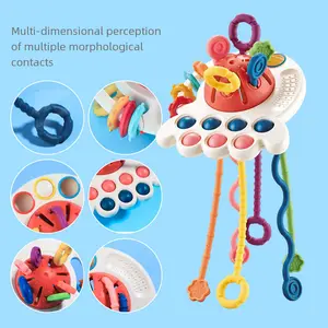 Educational Pull Rope Toy, Sensory Development Toy, Fine Motor Skills Multi-Sensorial Infant Toy, Model Xinghao 688-59, Play, Rattle Maracas