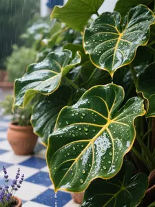 Rare Hosta Seeds for Planting-Shade-Tolerant Perennials,Ornamental Foliage for Landscaping Outdoor,Dual Use for Ground Cover & Pots,Create Cool Shaded Gardens.