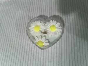 Dearest Daisy Candle