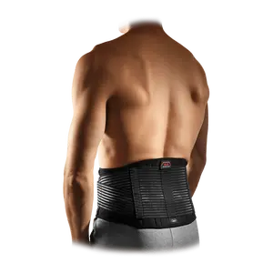 Back Stabilizer Back Stabilizer