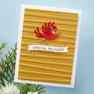 All Wrapped Up 3D Embossing Folder