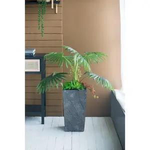 Large Cement Planter – Indoor/Outdoor Garden