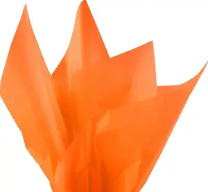 Orange Premium Colored Tissue Paper Gifts & Crafts 15" x 20", 24pk
