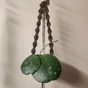 Brown and White Spiral Macrame Plant Hanger with Gold Ring for 2 Inch Pots Decorative Home Accessory
