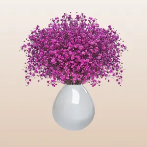 Baby's Breath Hot Pink Tinted Gypsophila 8 Stems per Bunch 250 gr 8-10 Days Vase Life 25 Inches Stem Length Perfect for Girly Fairytale Bouquets