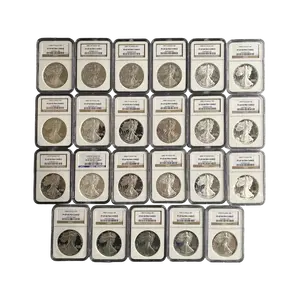 Silver Eagle NGC PF69UCAM Grab Bag