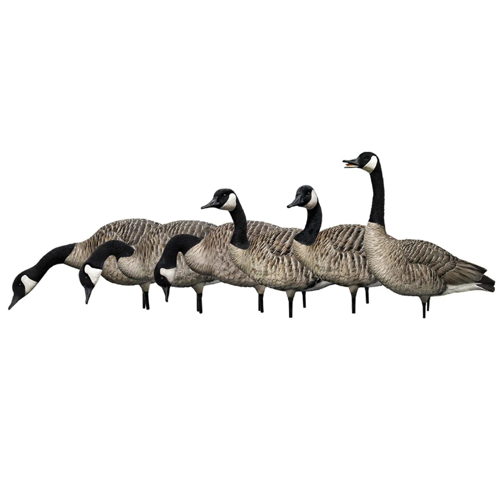 Avian X AXP Honkers: Fusion Pack of 6 Decoys