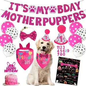Hot Pink Dog Birthday Party Supplies for Medium Large Pets Including Birthday Bandanas Hat Bow Tie Greeting Card Numbers It's My Bday Sign Banner