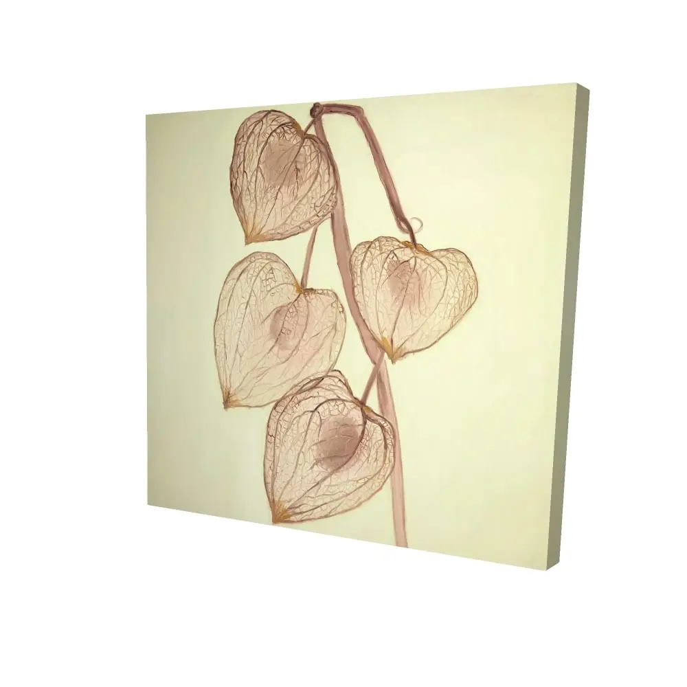 Begin Home Decor 2080-2424-FL276 24 x 24 in. Brown Rustic Botanical Canvas - Growing Ground Cherries Art
