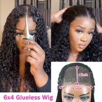 6x4 Glueless Wig