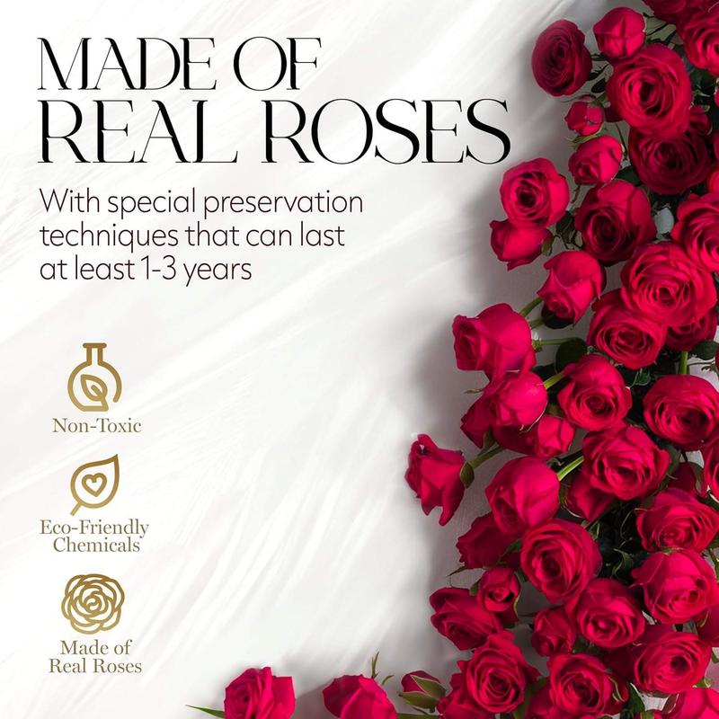 Eternal Prestige Velvet Black | 12 Red Roses Decor Box