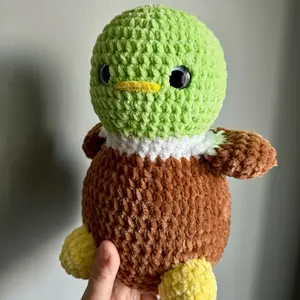 Large mallard duck