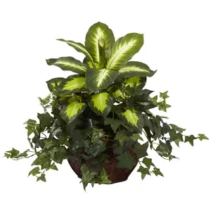 Dieffenbachia & Ivy w/Decorative Planter