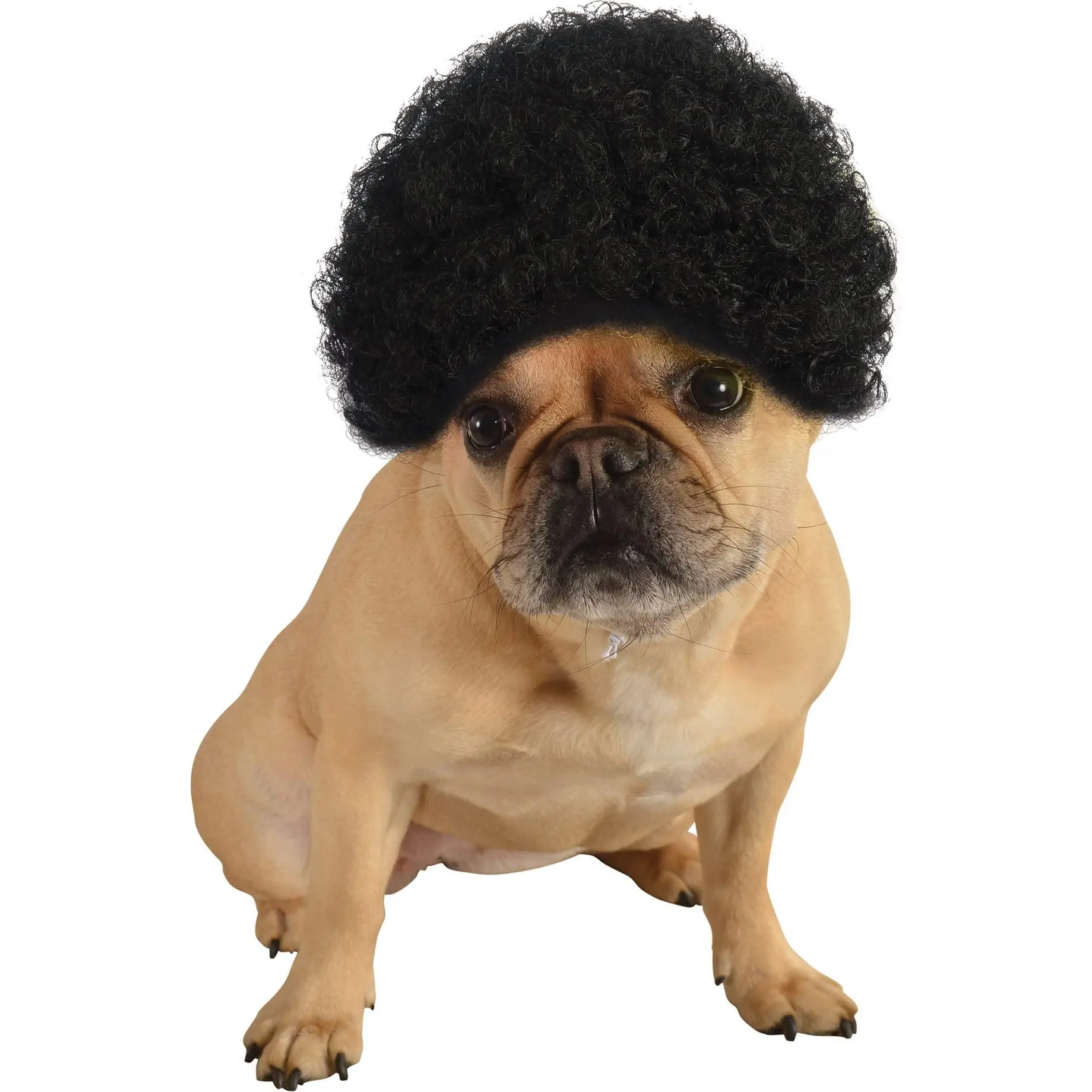 Pets Black Curly Afro Wig Costume Accessory