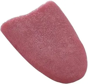 2pcs Realistic Fake Tongue Gross Jokes Prank Magic Tricks Fashion Processing Halloween Magicians Props Tricks Tongue Toys