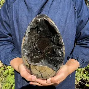 [Natural Septarian Geode Dragon Egg] Rare Natural Septarian Geode Dragon Egg Statue - High-Quality Turtle Back Stone Home Decor & Educational Display