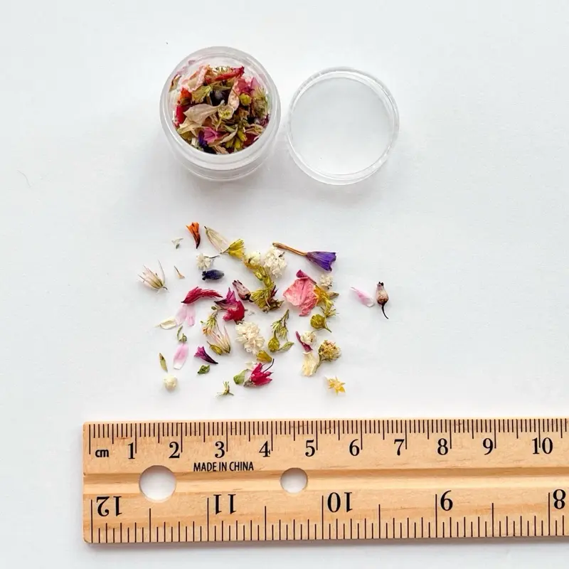 Extra tiny dried flower buds for crafting, resin art, jewelry making, scrapbooking, micro mini flowers