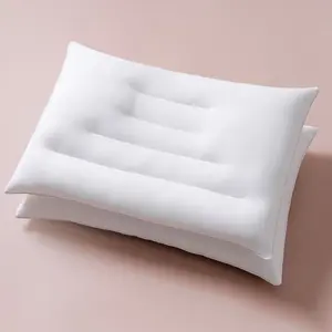 Flat Thin Pillows for Sleeping - 2 Pack  Size Slim Bed Pillows for Side   Sleepers,2.5 inch Height Ultra Low Pillows,Down Alternative Filling
