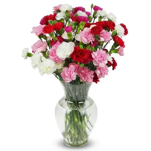 - 20 Stem Rainbow Mini Carnations (glass Vase Included) Fresh Flowers For Delivery Gift Graduation  Birthday Anniversary Sympathy Get Well Congratulations