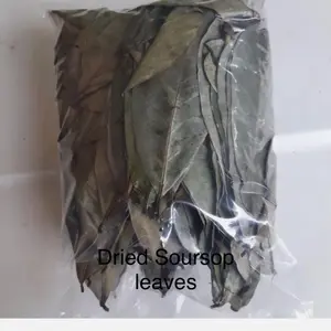 Soursop Leaves - Freshly Dried Annona Muricata Herbal Tea 3.5 oz - Herbal Beverage - Fruit