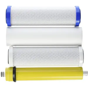 IPW Industries Inc Watts Premier WP4-V Filter Annual Bundle (24 GPD)