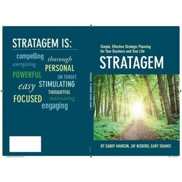 USED-Stratagem: Simple, Effective Strategic Planning for Your Business and Your Life by Sandy Manson (Paperback)