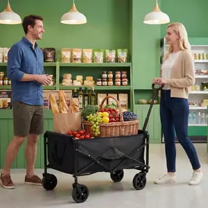 Collapsible Wagon, Portable Folding Wagon with All-Terrain Wheels and Adjustable Handle for Grocery Camping Shopping Garden, 67L and 220lbs