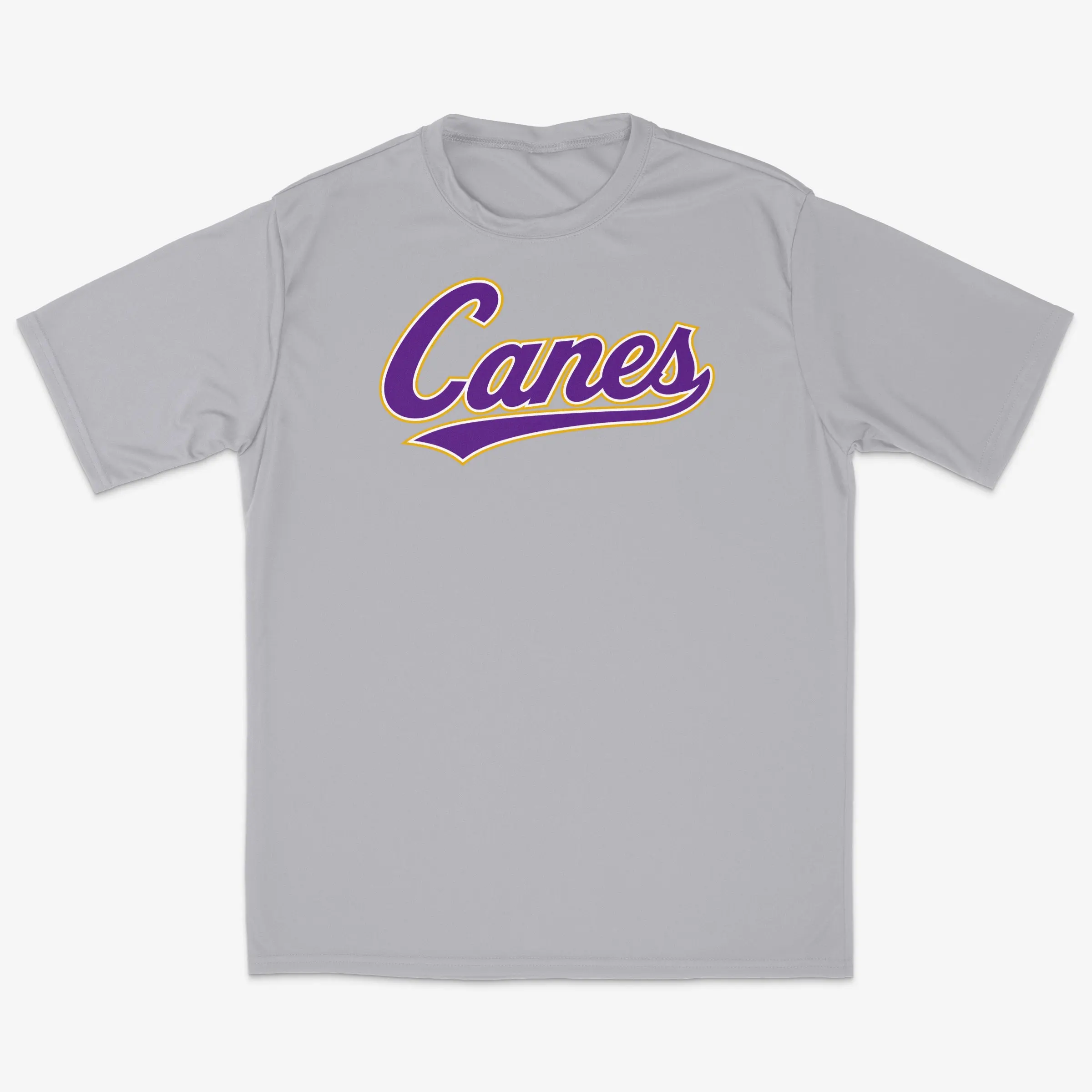 All-Star Canes Gray Performance Tee