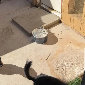 Geoorood Ultra-Quiet Cat Water Fountain – Leak-Proof Design, 304 Stainless Steel Top, 3.2L Large Capacity, Dual Flow Modes, Pet Fountain for Multi-Cat Homes, Easy Clean