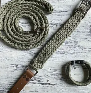 Classic Sweet Pea Paw and Me Set - Colorful Paracord Dog Leash Collar & Bracelet for Everyday Use