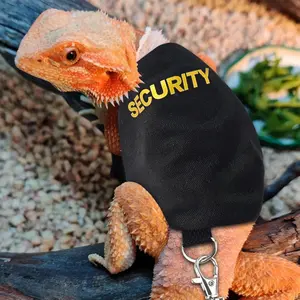 Lizard Harness Leash, Chameleon & Squirrel Pet Carrier Strap, Small Animal Outing Vest, Comfortable Outdoor Gear for Reptiles