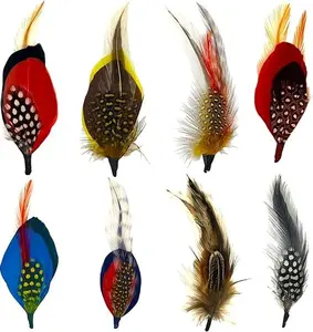 Hat Feathers, Assorted Natural Feathers Colorful Real Feathers Packs Accessories for Fedora Scott Borges Trilby Hats