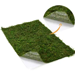 Dried Moss Mat for Wedding Birthday Party Fairy Garden Decorations Dark Green 14" X 9"