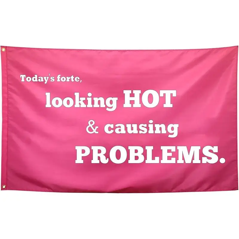 Looking Hot & Causing Problems Flag Pink Funny College Dorm Flags for Girls Cool Girl Flags for Bedroom Room Wall Meme Flags Banner 40x60 IN Indoor Outdoor Garden Home Decoration Decoration Party Decoration Decoration pink bedroom accessori