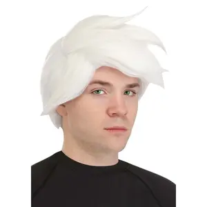 Men's Nickelodeon Danny Phantom Costume Wig