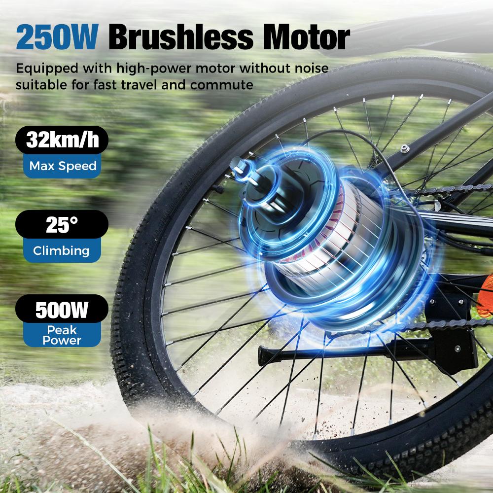 Adult Electric Bicycle 750W | 60 Miles Long Range, Removable Battery, 5 Speed, Shock Absorber