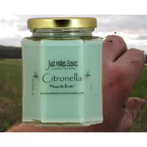 Citronella Mosquito Repelling Candle for Indoor Use