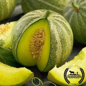 Melon Seeds - Cantaloupe - Haogen (Organic)