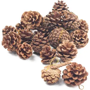 18 PCS Natural Pine Cones, Christmas Rustic Pinecones Fall Garland Thanksgiving Decorations, Christmas Tree Fall Ornaments, Winter Vase Filler