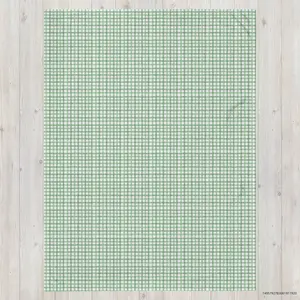 Green Gingham Throw, Green Checked Blanket, Preppy Throw Blanket, Bedding, Living Room Decor, Plush Fleece Throw