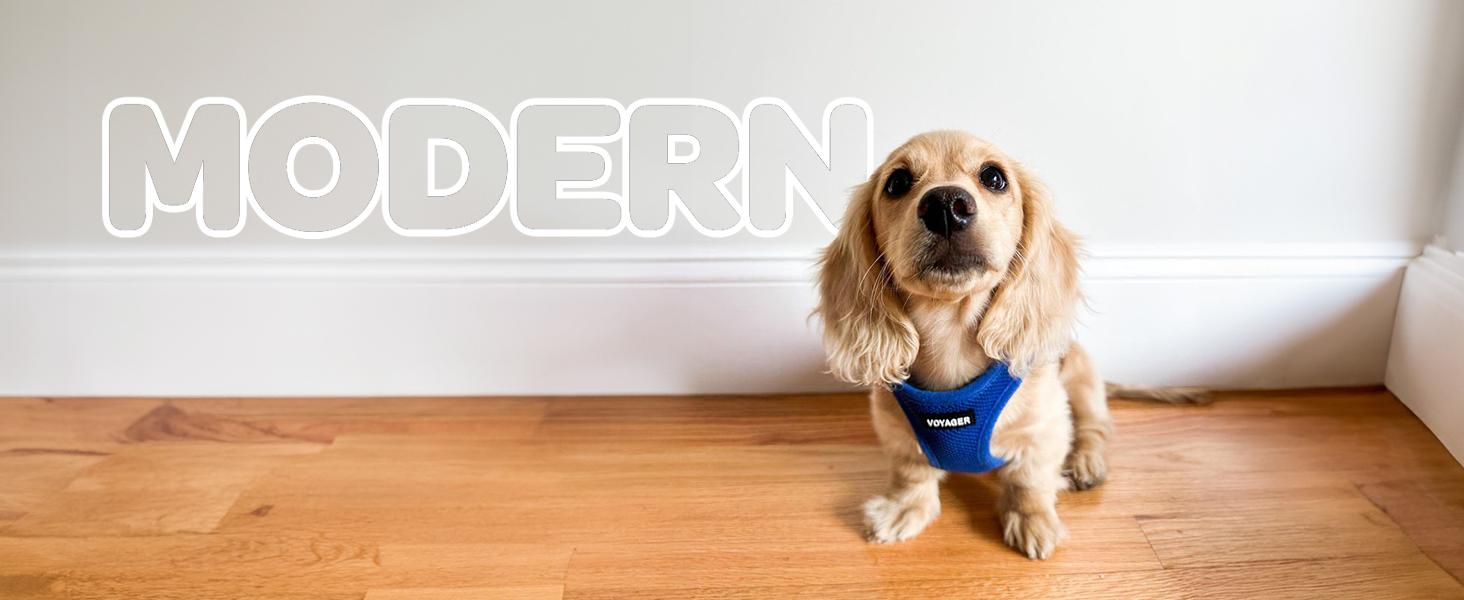 Voyager Step-In Air Dog Harness No Pull - Breathable All Weather Mesh, Lightweight Adjustable Vest for Small Medium Dogs & Cats - Reflective, Triple Security, Easy Step-In Design by Best Pet Supplies
