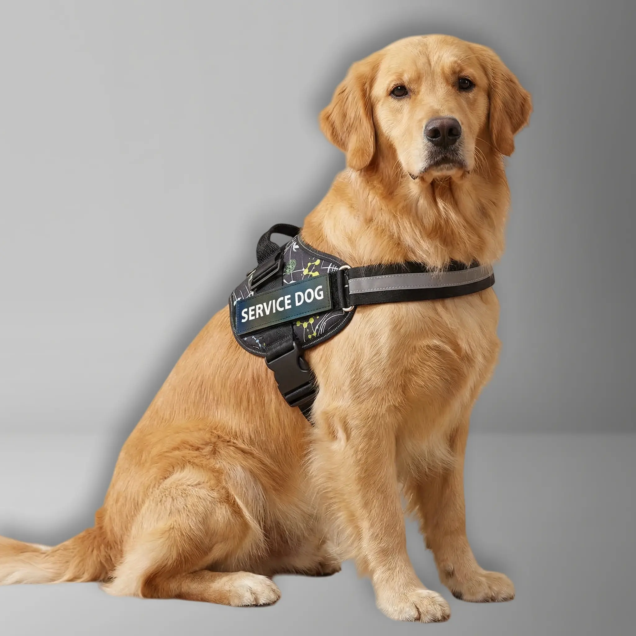 harness: shock-absorbing  walking  for medium and large dogs;  padded  vest; reflective pet vest with an easy-to-control handle; suitable for medium and large . double dog leash pet safety leash adjustable outdoor training luxury dogcollar  doge collar