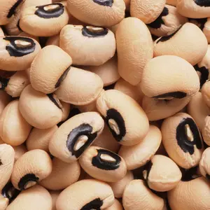 Heriloom California Blackeye Cowpea Seeds - Organic and Regenerative Gardening Seeds