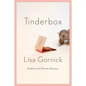 USED-Tinderbox: A Novel by Lisa Gornick (Hardcover)