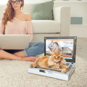 3-in-1 Cat Laptop Scratcher with Mouse & Bell