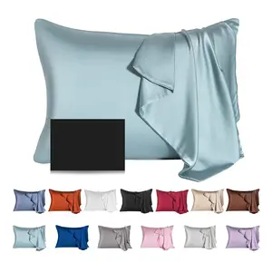 Mulberry Silk Pillowcase for Hair and Skin - Cooling Silk Pillow Case with Hidden Zipper, Allergen Proof Dual Sides Soft Breathable Smooth Silk Pillow Cover for Women (Aqua Blue)