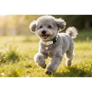 Cute dog collar with printed pendant, adjustable soft and sweet bow printed pet collar, suitable for small, medium dogs, made of skin-friendly and breathable polyester-cotton fabric shaped harness poppy/Essential gear for dogs when traveling surprise gift