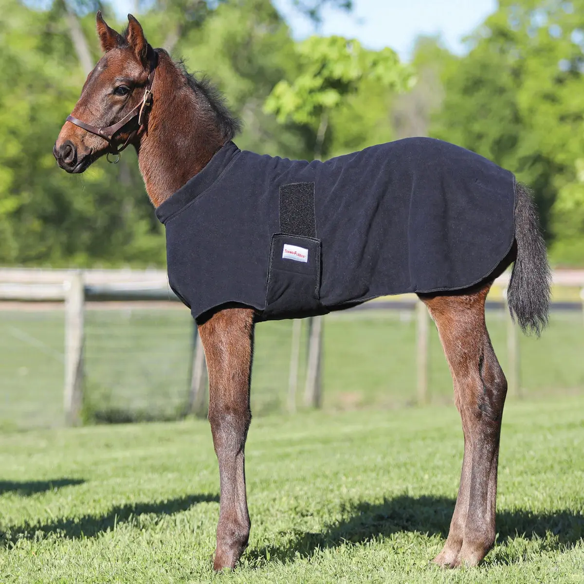 Dura-Tech Polar Fleece Foal Warmer for Horse Breeding, Moisture-Wicking, Does Not Absorb Moisture, Detachable Tail, Keeps The Foal Warm And Dry