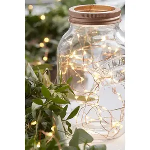 100 LED Natural Copper Fairy Lights - USB